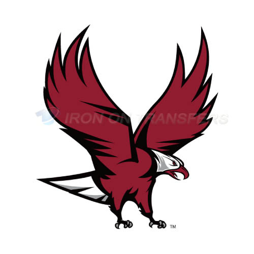NCCU Eagles Iron-on Stickers (Heat Transfers)NO.5370